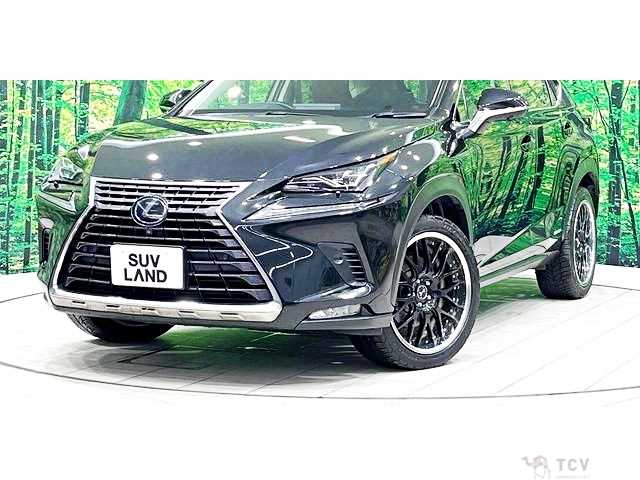 2018 Lexus NX