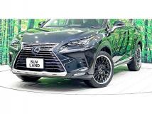 2018 Lexus NX