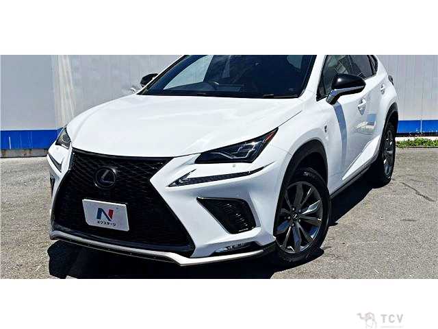 2018 Lexus NX