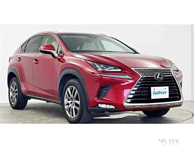 2018 Lexus NX