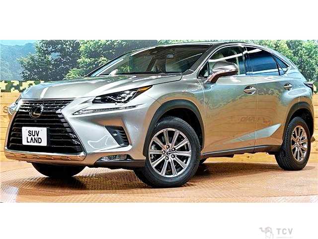 2018 Lexus NX
