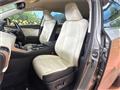 2018 Lexus NX