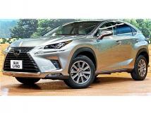 2018 Lexus NX