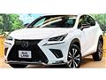 2018 Lexus NX