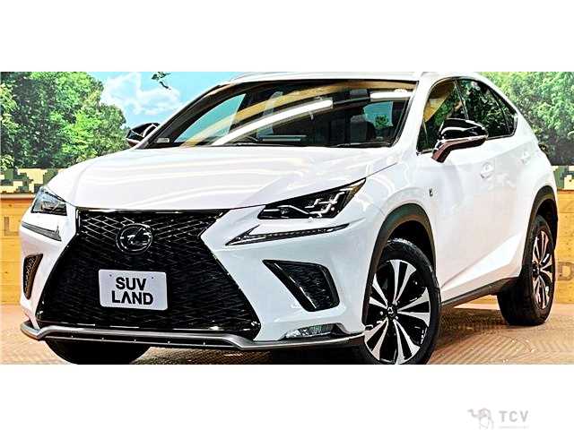 2018 Lexus NX