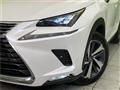 2018 Lexus NX