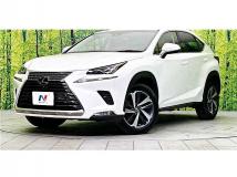 2018 Lexus NX
