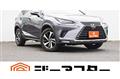 2018 Lexus NX