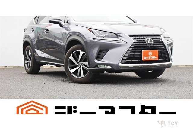 2018 Lexus NX