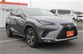 2018 Lexus NX