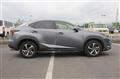 2018 Lexus NX