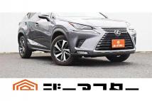 2018 Lexus NX