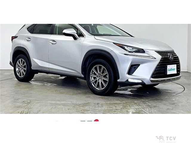 2018 Lexus NX
