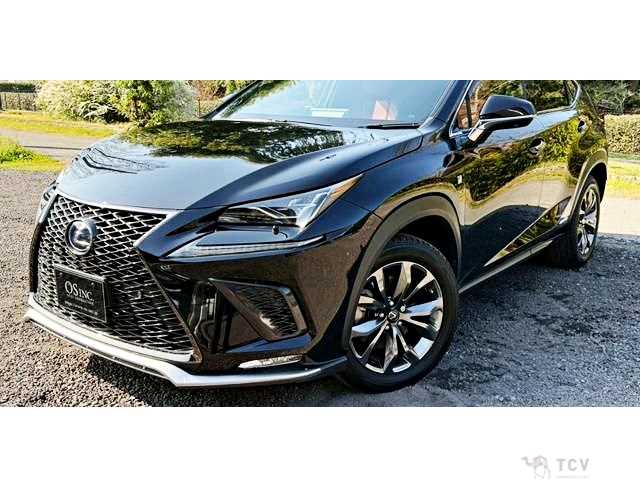 2018 Lexus NX