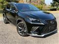 2018 Lexus NX
