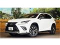 2018 Lexus NX