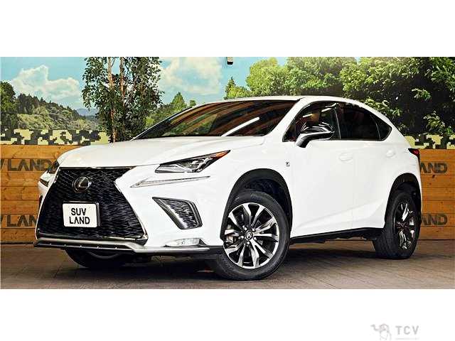 2018 Lexus NX