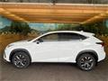 2018 Lexus NX