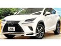 2018 Lexus NX