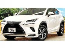 2018 Lexus NX