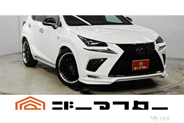 2018 Lexus NX
