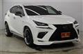 2018 Lexus NX
