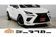 2018 Lexus NX