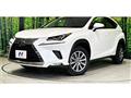 2018 Lexus NX