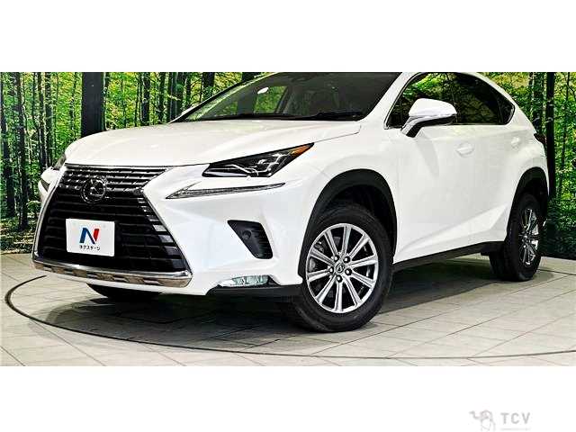 2018 Lexus NX
