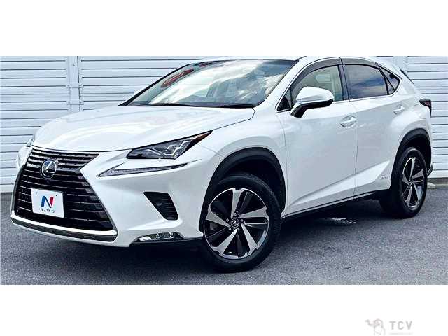 2018 Lexus NX