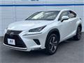 2018 Lexus NX