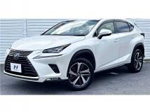2018 Lexus NX