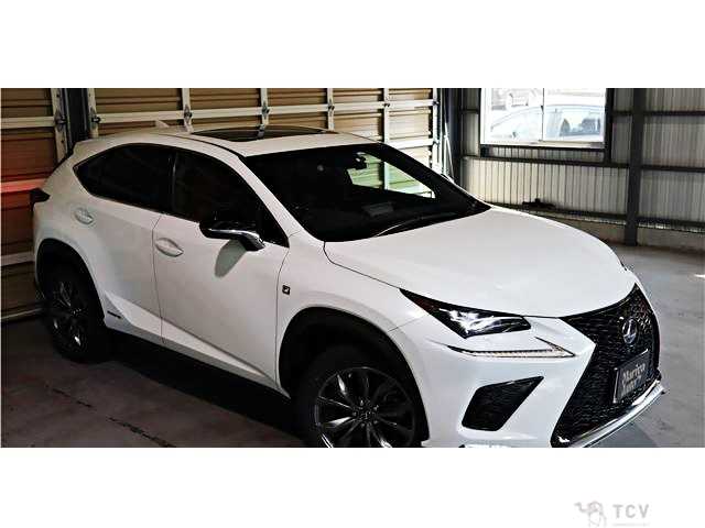 2018 Lexus NX