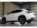 2018 Lexus NX