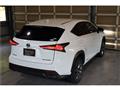 2018 Lexus NX