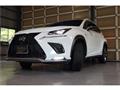 2018 Lexus NX