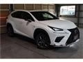 2018 Lexus NX