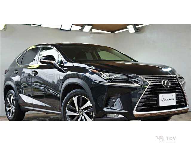 2018 Lexus NX