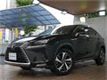 2018 Lexus NX