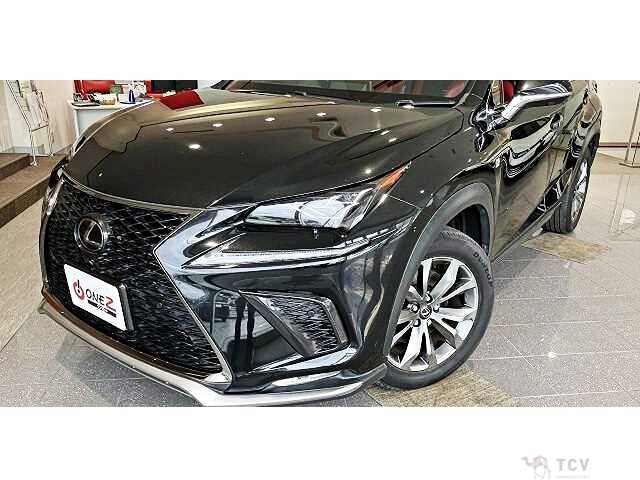 2018 Lexus NX