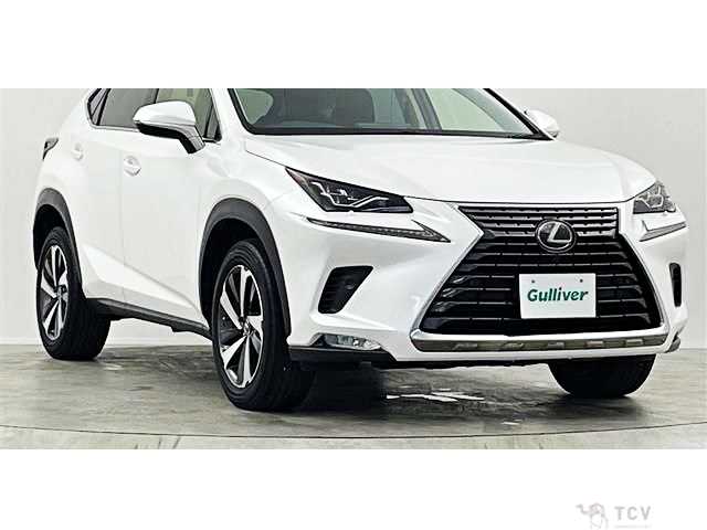 2018 Lexus NX