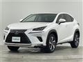 2018 Lexus NX