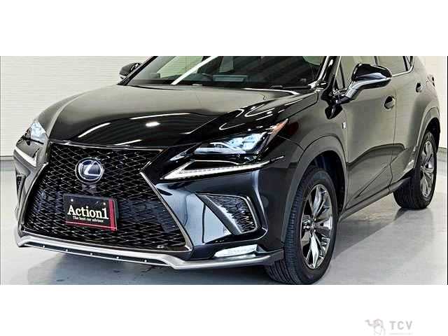 2018 Lexus NX