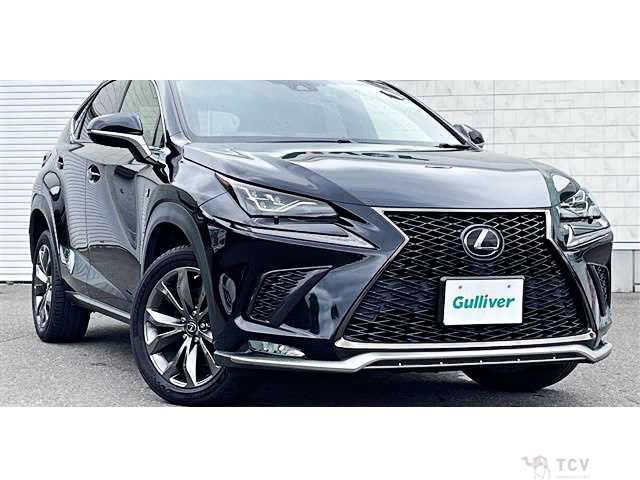 2018 Lexus NX