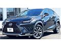 2018 Lexus NX