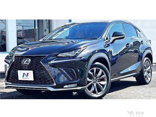 2018 Lexus NX