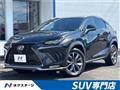 2018 Lexus NX