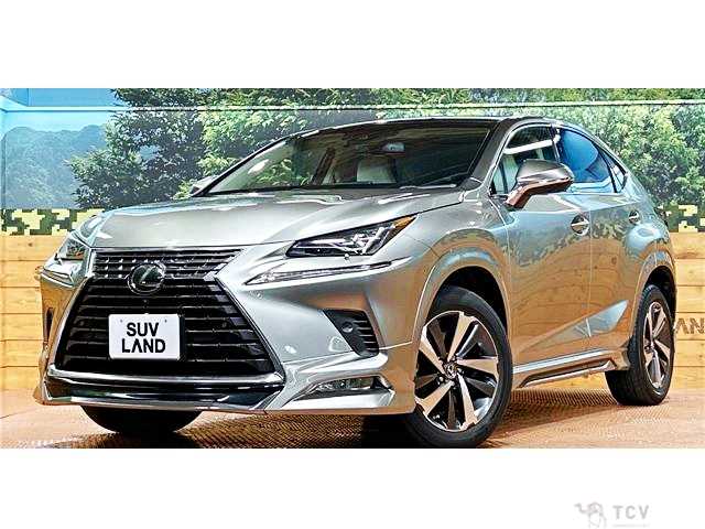2018 Lexus NX