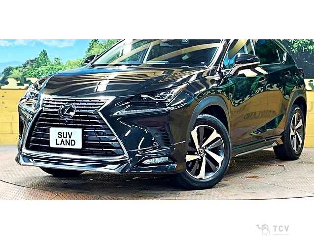 2018 Lexus NX