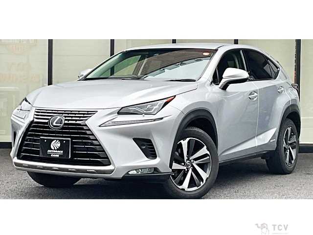 2018 Lexus NX